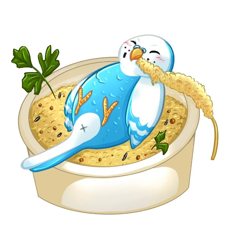 Budgerigar in millet heaven - gift idea funny