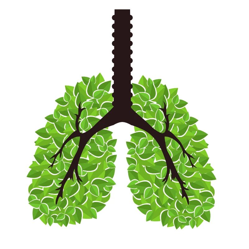 Save the planet green lungs