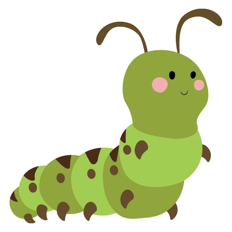Oruga