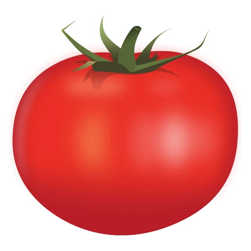 Tomato