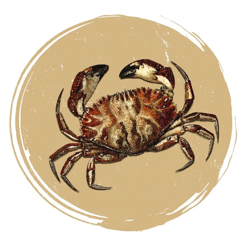 Crab
