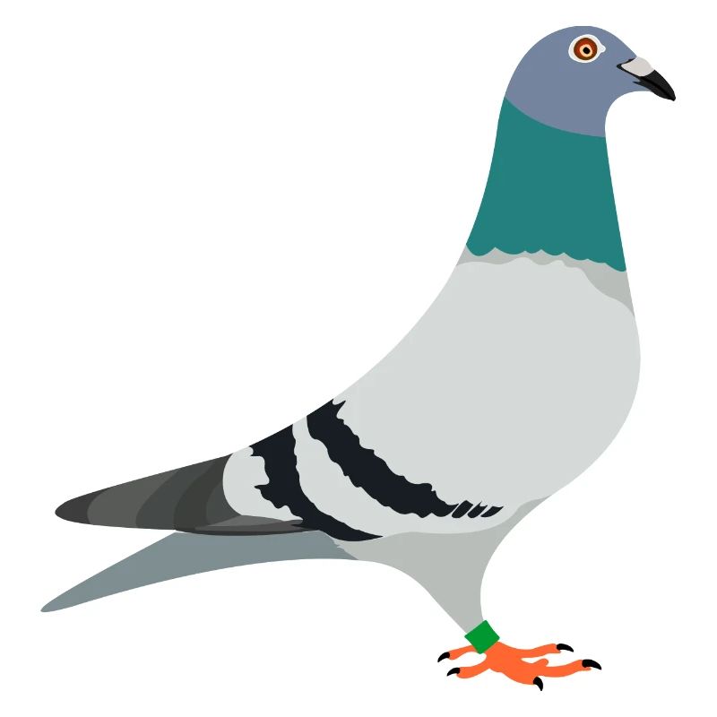 Brieftaube