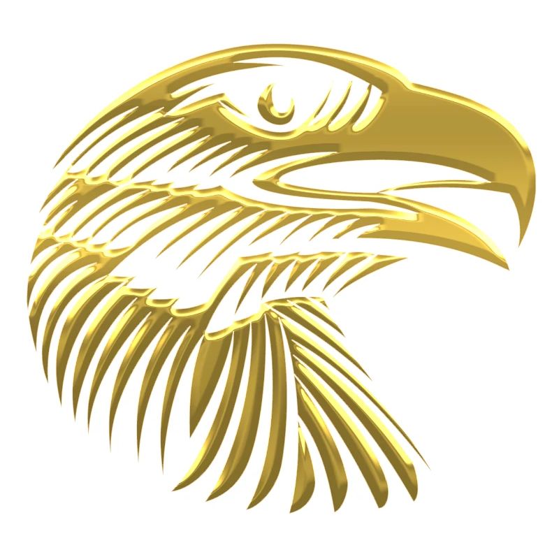 Eagles Eagle Eagle bird falcon hawk