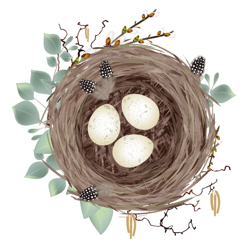 Vogelnest oder Osternest mit drei Eier und Federn