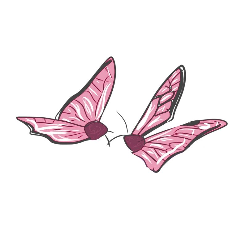 butterfly pink animals fly spring