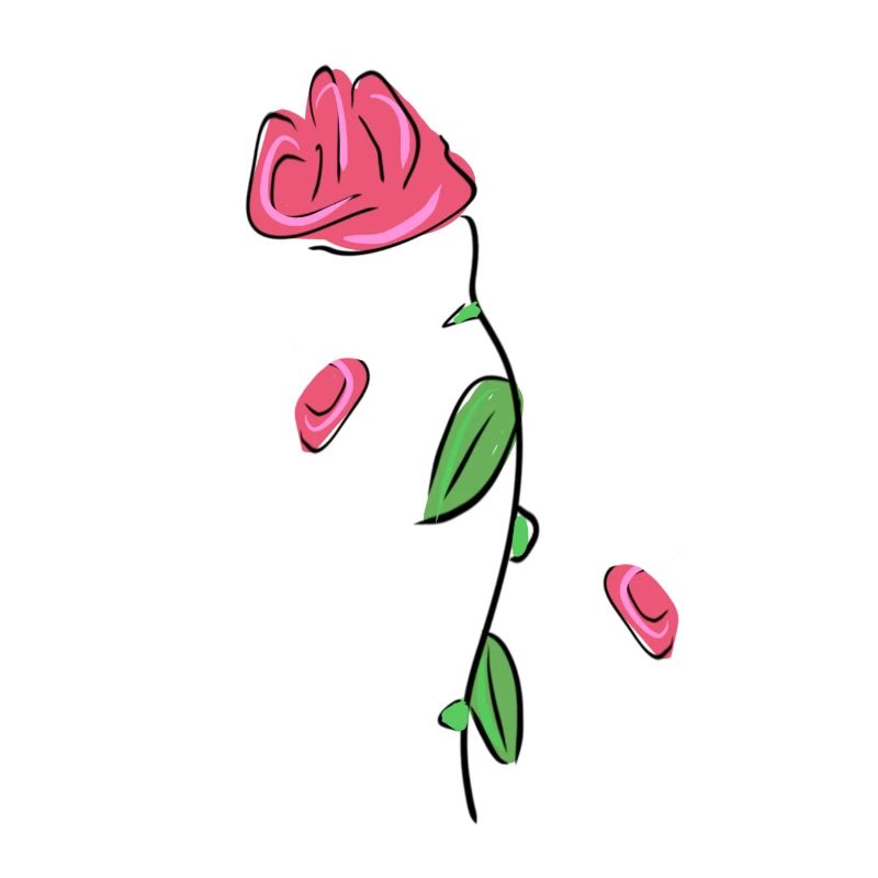 rose fleur fleur fleur fleur printemps