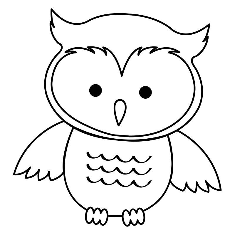 Hibou