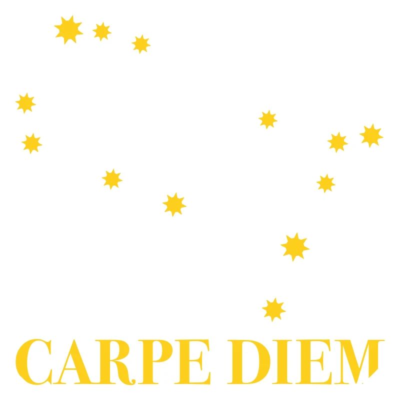 Carpe Diem nutze den Tag Sternbild Zwilling Gemini
