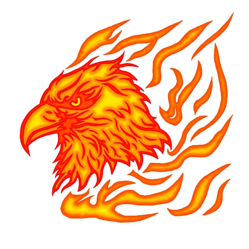 cool, burning phoenix head with flames