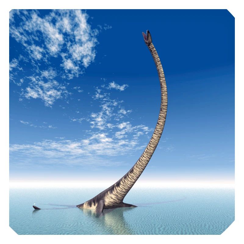 Plésiosaure Elasmosaurus