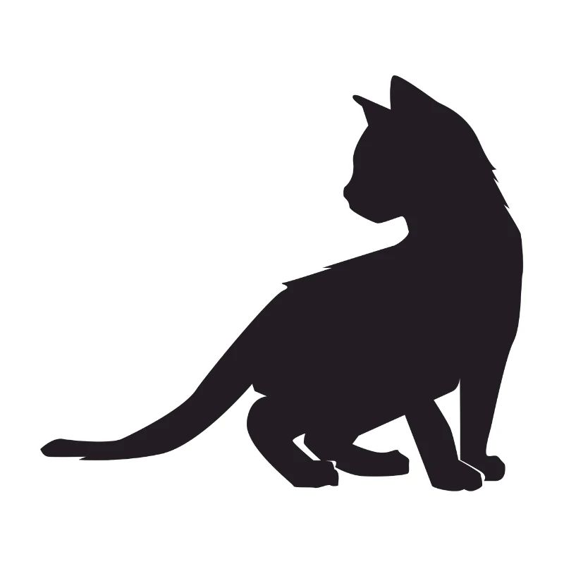 Conception de chaton