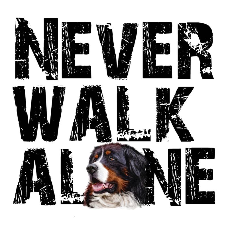 Berner Sennenhund
