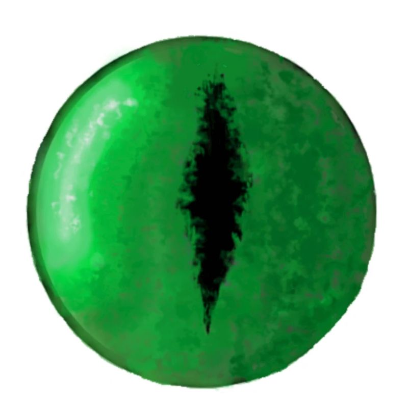Œil de serpent vert