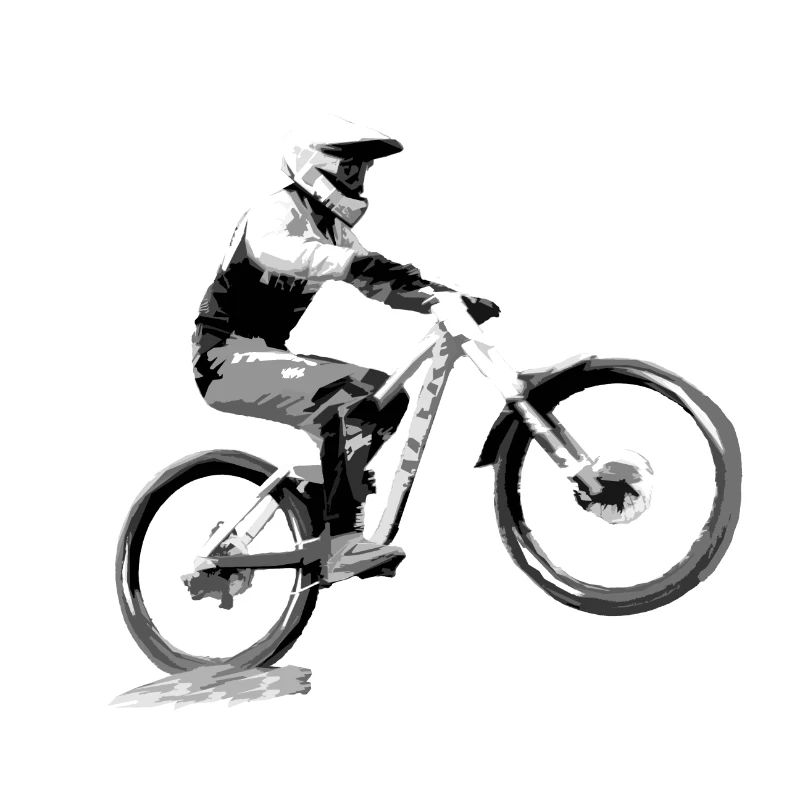 vtt mtb downhill
