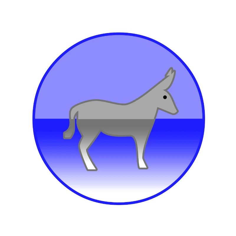 Donkey