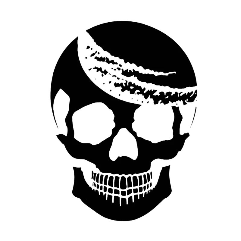 Black vector skull clean design