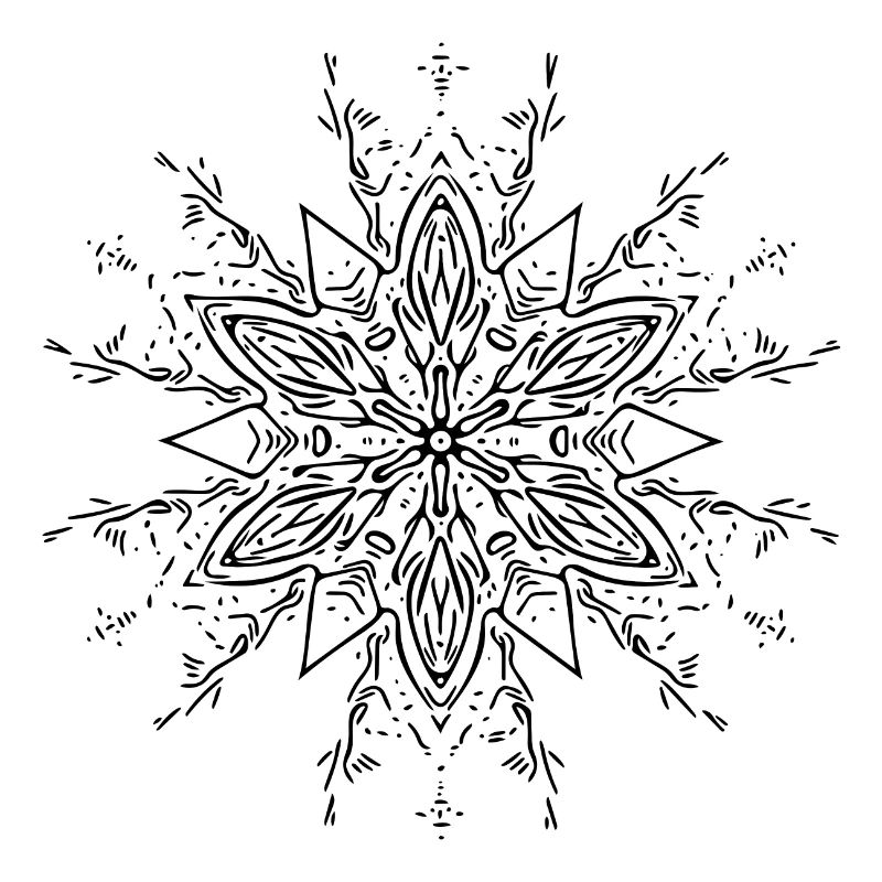 Mandala Flower Pattern Lines Abstract Form