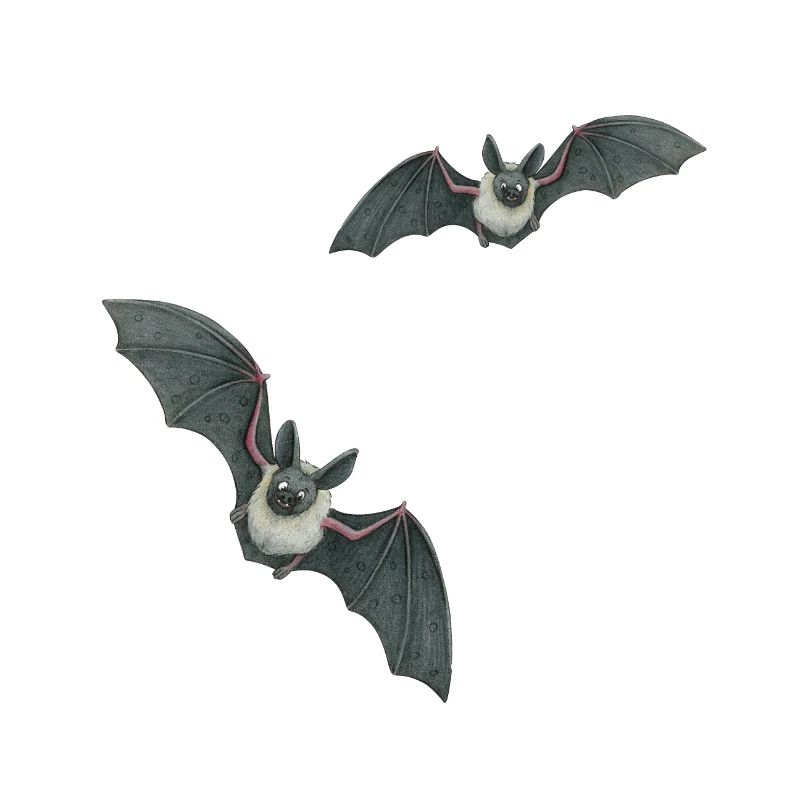 small bats