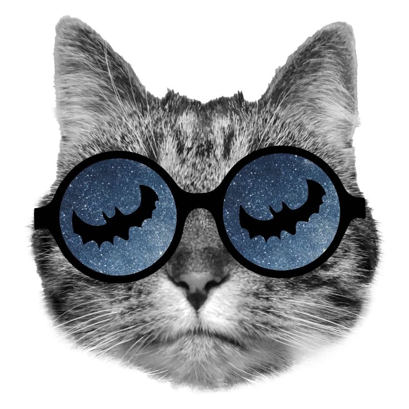 Chat d’Halloween