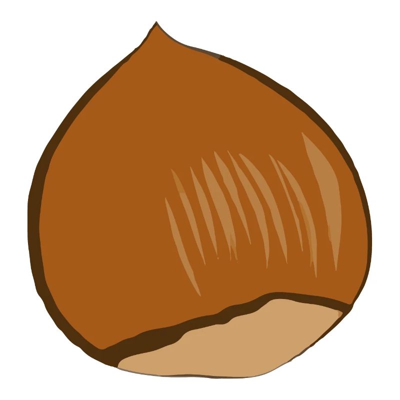 Haselnuss
