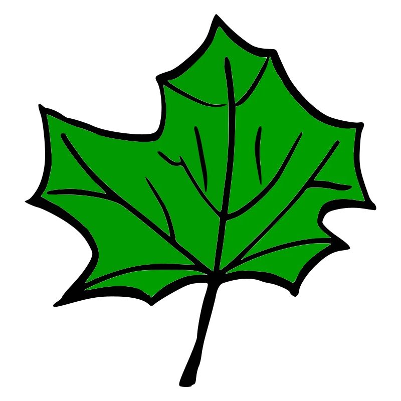 Grünes Blatt