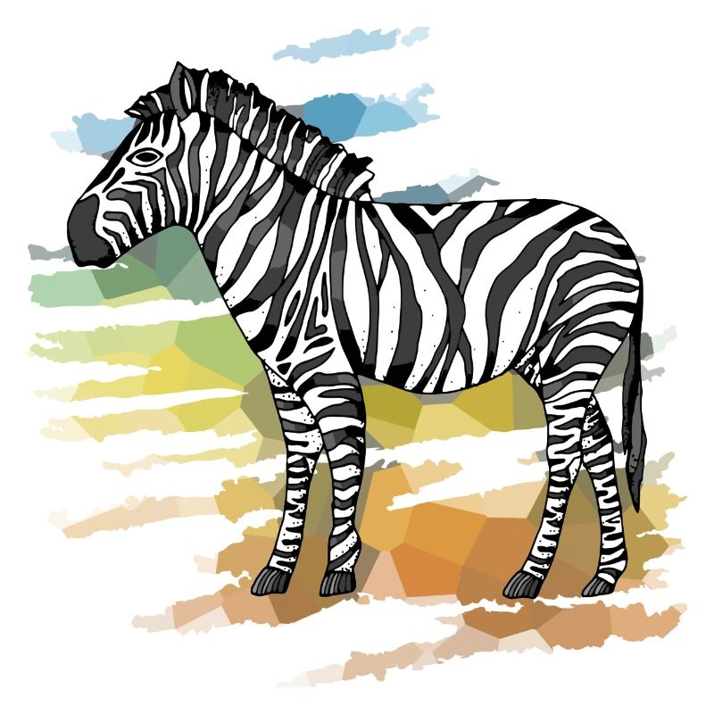 Zebra
