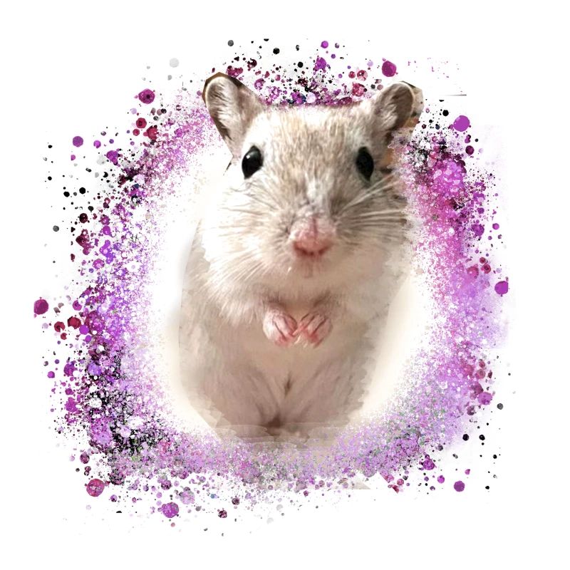 Jumping mouse,mouse,graffiti,painting,shrew