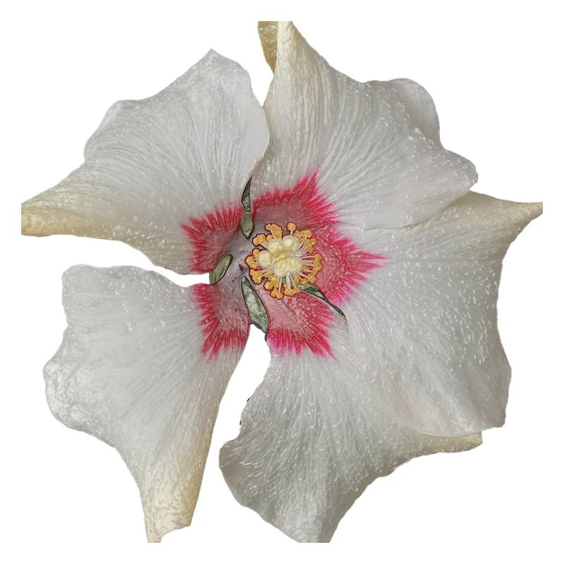 weiss blume rot