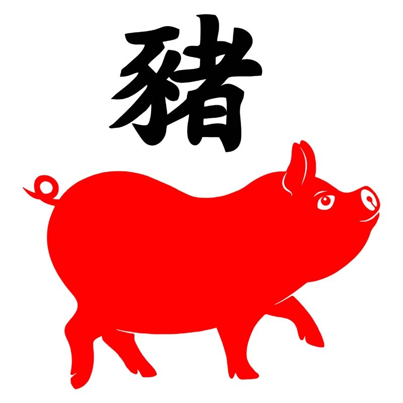 Écriture chinoise avec cochon rouge