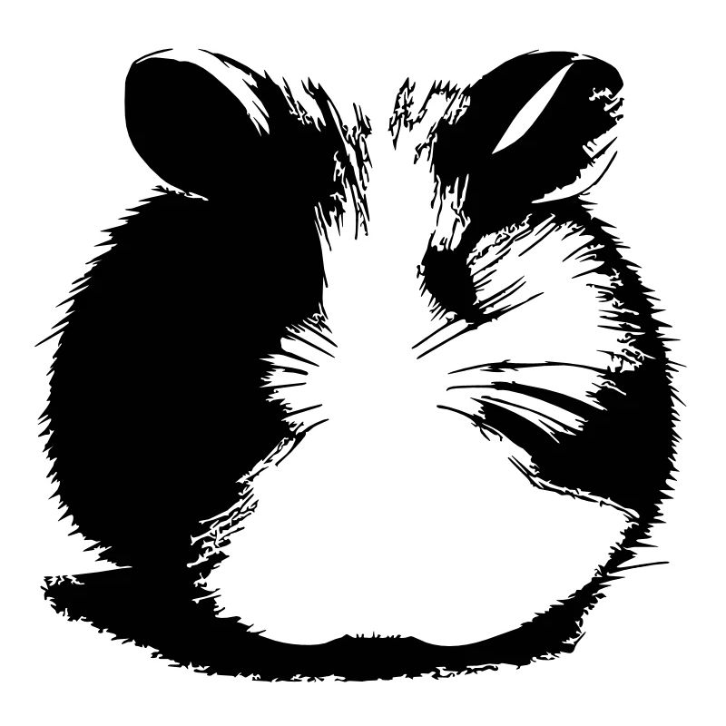 Hamster Mignon Animal Rongeurs Animaux Pet Vector 12