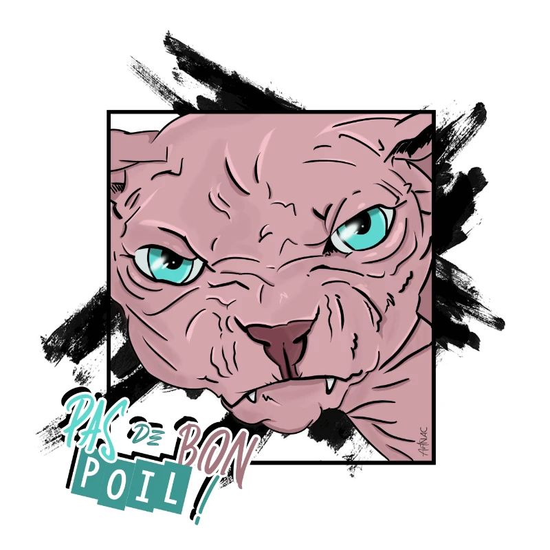 Pas Content | Sphynx_01