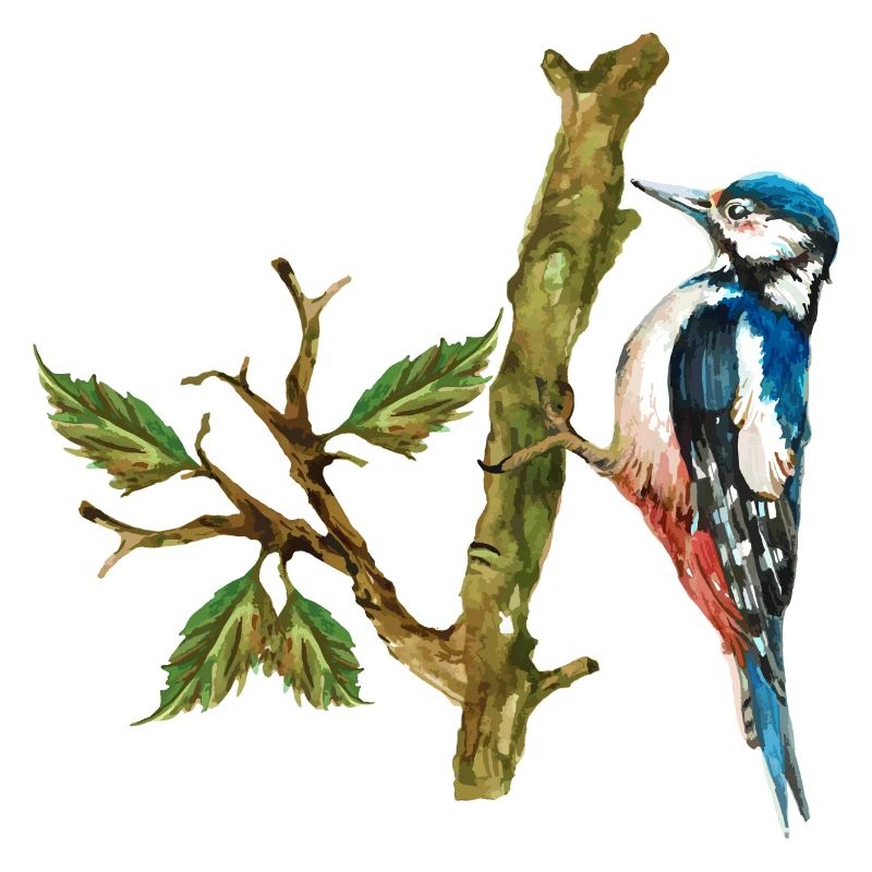 Oiseau coloré