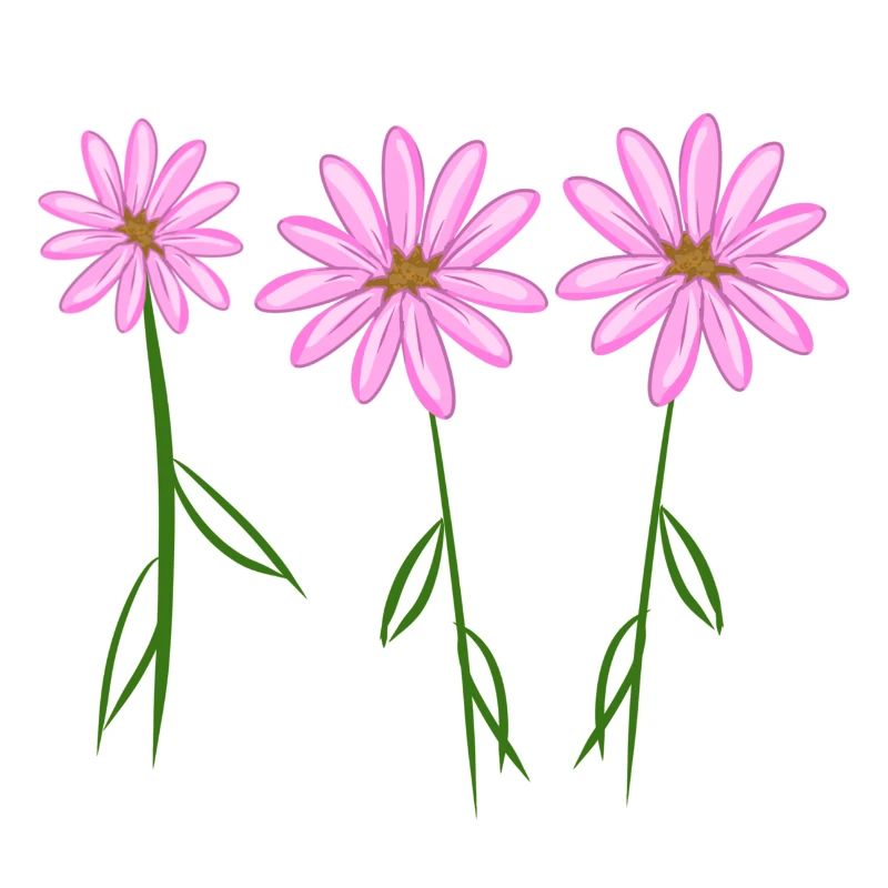 Trois plantes à fleurs roses