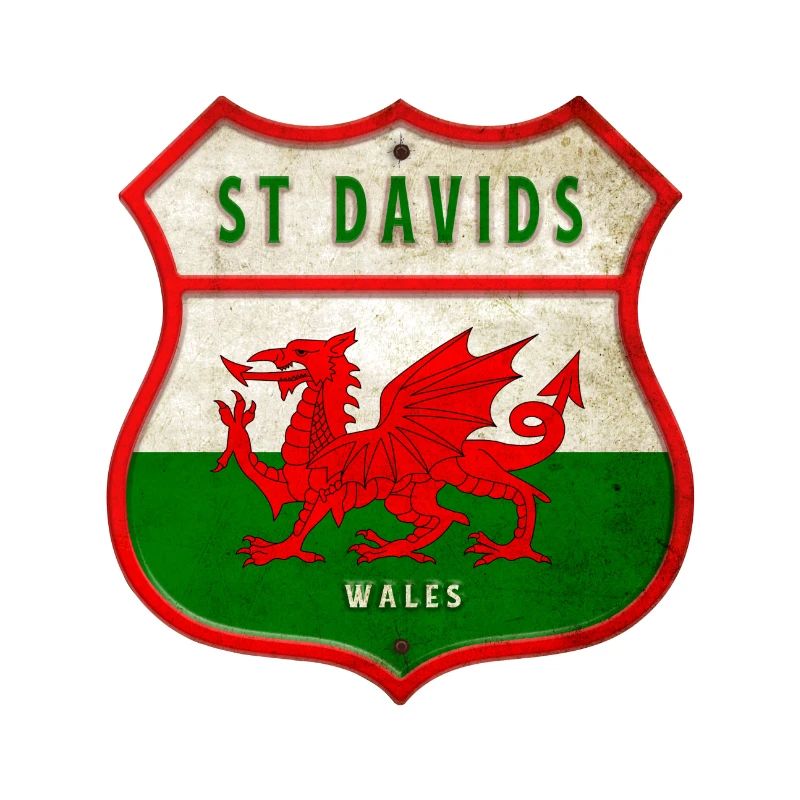 St Davids Pays de Galles Drapeau Design