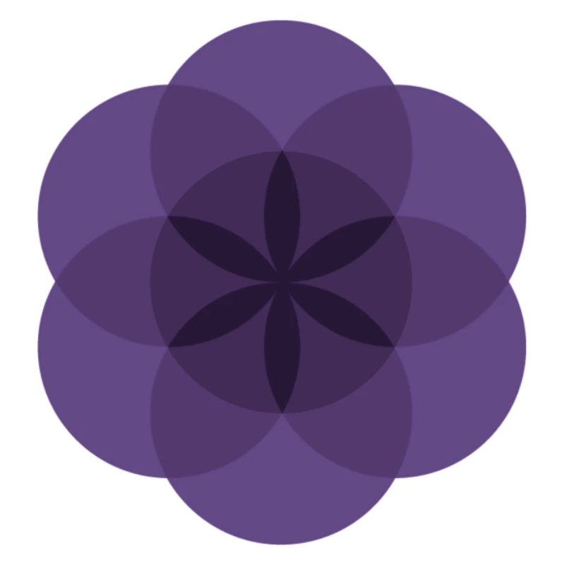 violette Lebensblume