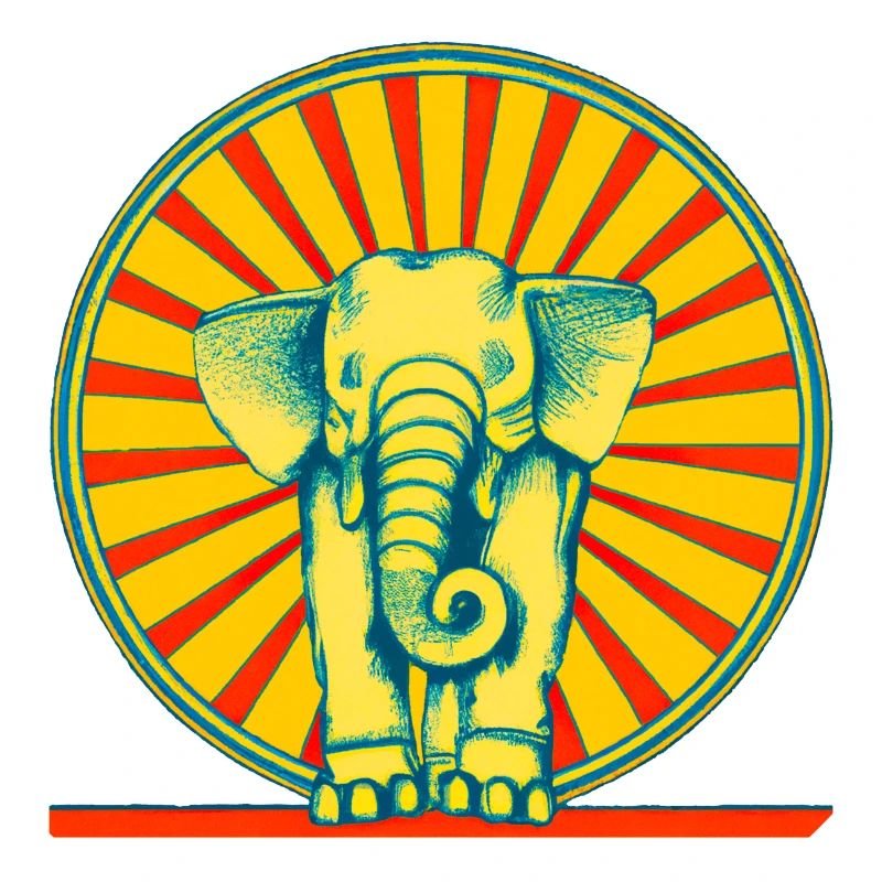 Sunnyfant