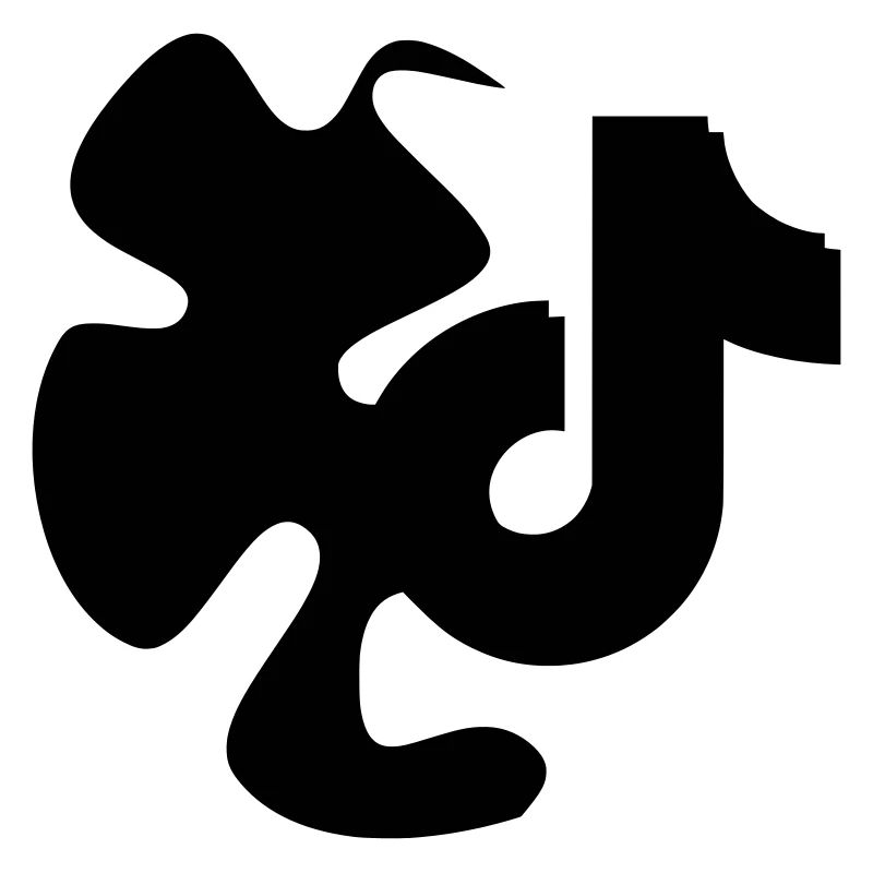 TikTok Star