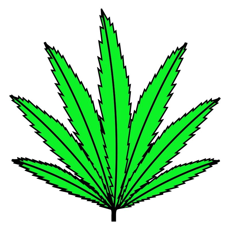 Hemp