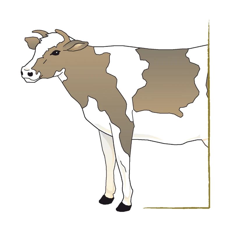 Vache - Demi-vache dans le cadre