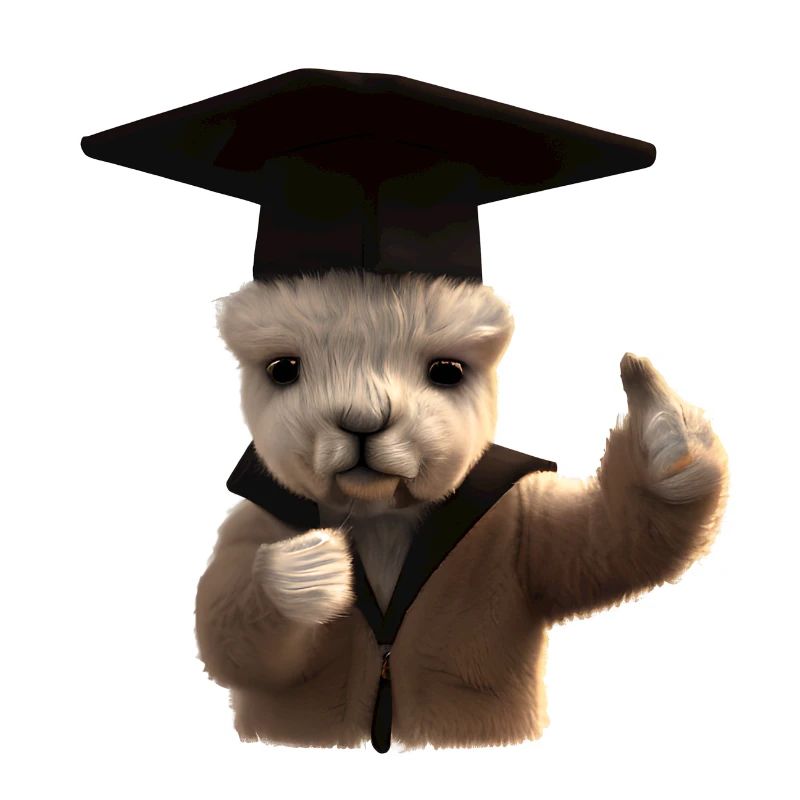 Bachelor Studium Schulabschluss Absolvent Alpaka