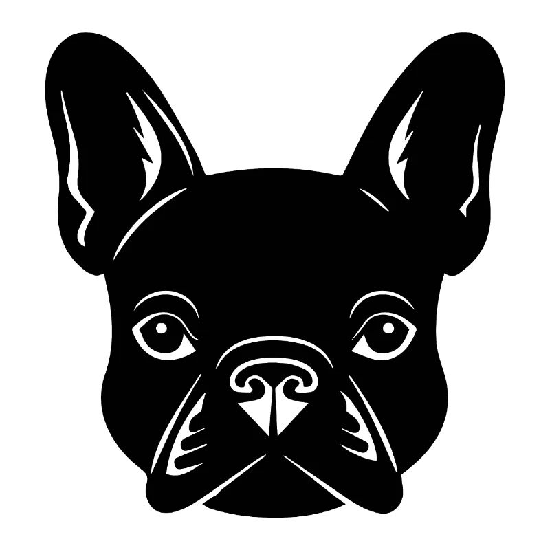 Bouledogue français Terrier de Boston