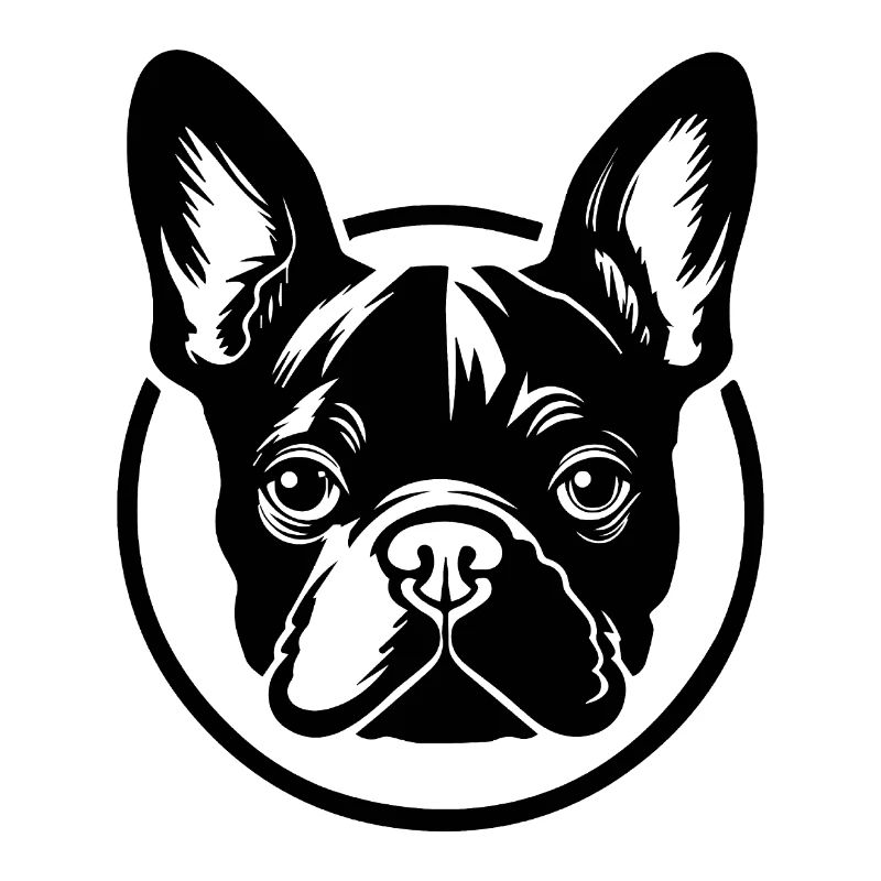 Bouledogue français Terrier de Boston