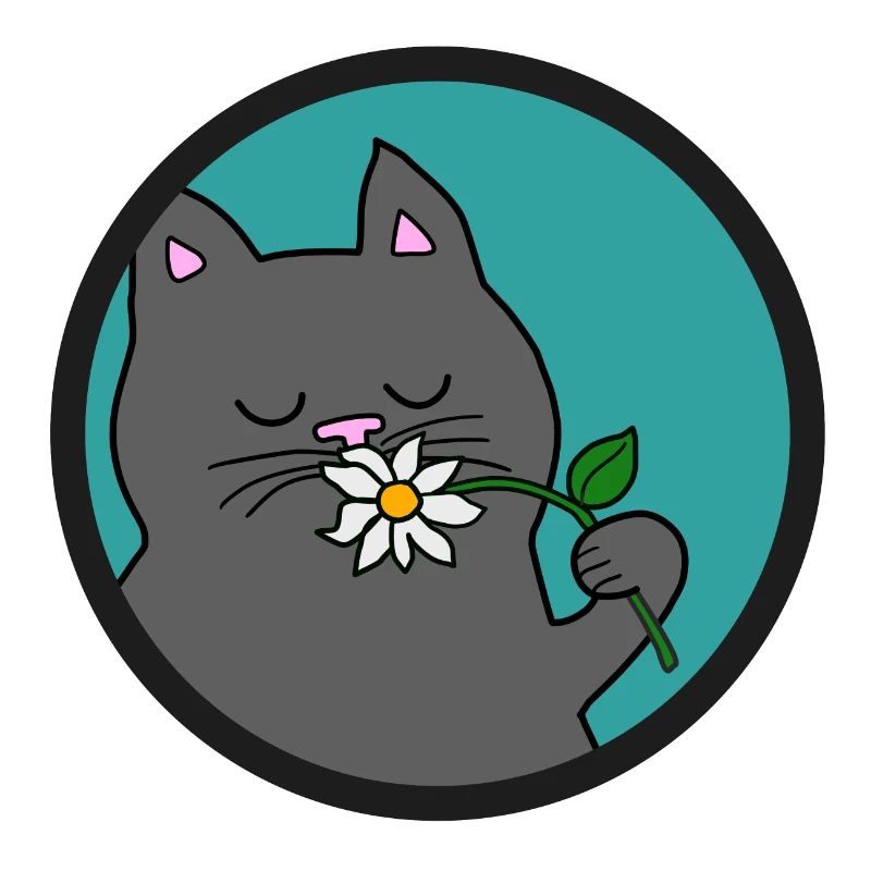 Chat gris d’été