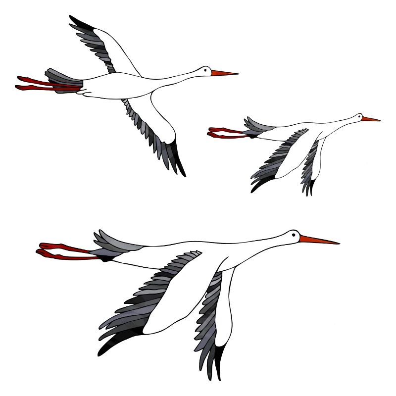 Storks