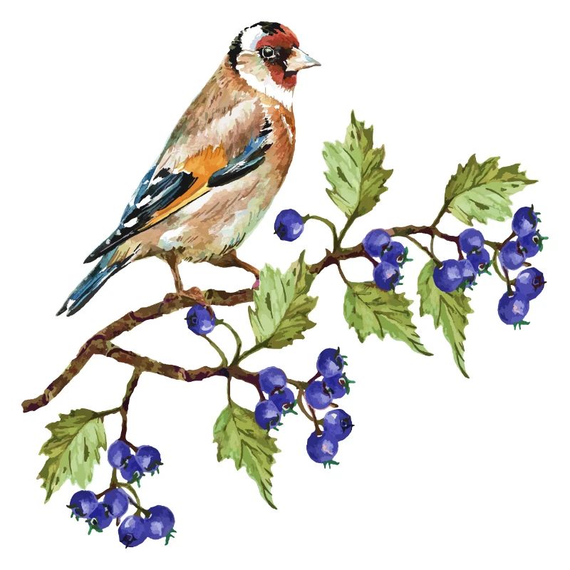 Bunter Vogel