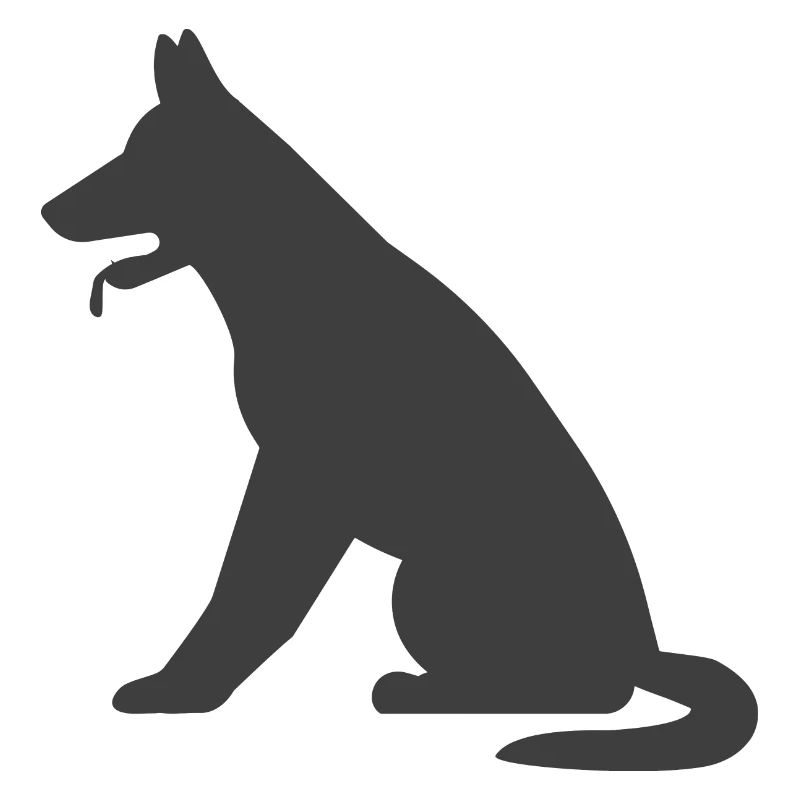 Hund