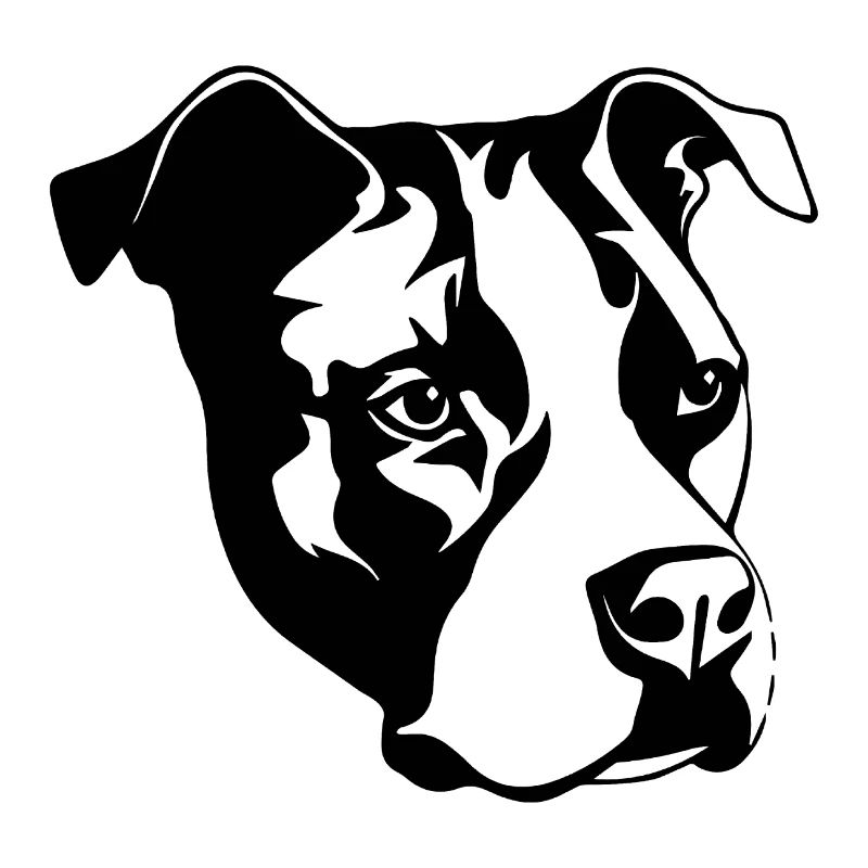 Pitbull