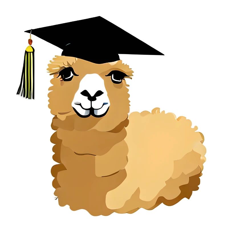 Bachelor Alpaka Studium Absolvent Schulabschluss