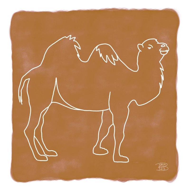 "Kamel", Boho Line Art Design, Serie "Desert"