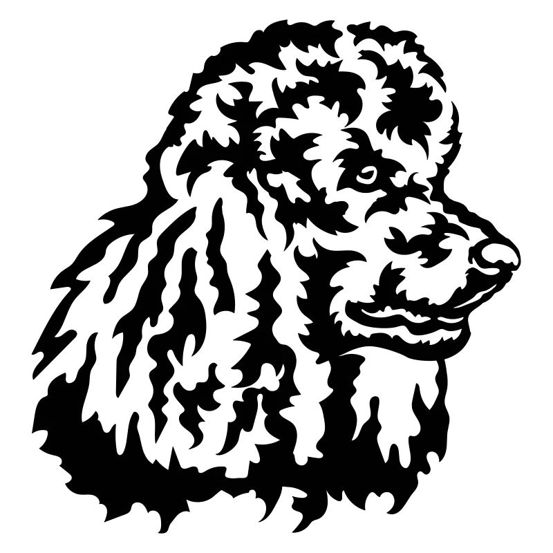 Grosse tête de caniche